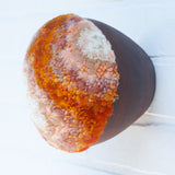 Puff Sculpture in Vintage Teak Frame | Creamsicle