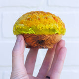 Midi Puff in Olive Wood Frame | Tropical Rainbow