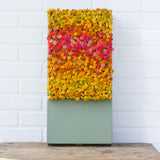 Puff Sculpture in Vintage Safe Deposit Box, XL | Warm Ombre