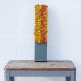 Puff Sculpture in Vintage Safe Deposit Box | Warm Ombre, Vertical