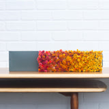 Puff Sculpture in Vintage Safe Deposit Box | Warm Ombre
