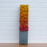 Puff Sculpture in Vintage Safe Deposit Box | Warm Ombre
