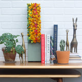Puff Sculpture in Vintage Safe Deposit Box | Vertical Rainbow