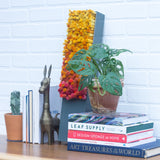 Puff Sculpture in Vintage Safe Deposit Box | Warm Ombre
