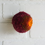 Mini Puff | Orange and Berry