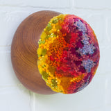 Puff Fiber Sculpture in Vintage Teak Frame | Modern Rainbow