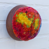 Puff Fiber Sculpture in Vintage Teak Frame | Rainbow