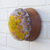Puff Fiber Sculpture in Vintage Teak Frame | Mustard + Mauve