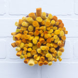 Felted Puff in Vintage Frame | Mustard