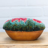Puff "Loaff" in Vintage Teak Frame | Watermelon