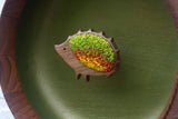 Embroidered Hedgehog in Oversized Teak Frame