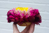 Midi Fluff Puff | Hot Pink and Yellow