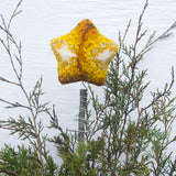 "TWINKLE" Star Puff Tree Topper | 19