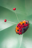 Embroidered Bug with Ruby Jade Antennae | XL Flower Frame