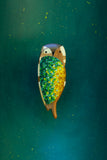 Embroidered Owl | XL Oval + Stars