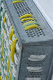 Modern Woven Plaid with Vintage Frame | Green + Yellow