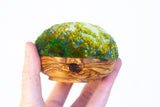 Midi Puff in Olive Wood Frame | Mossy