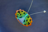 Embroidered Bug with Vintage Disco Ball Antennae