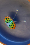 Embroidered Bug with Vintage Disco Ball Antennae