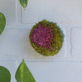 RESERVED for CAYCI Mini Puff | Fiber Sculpture in Wood Frame - Pink + Green