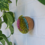 RESERVED for CAYCI Mini Puff | Fiber Sculpture in Wood Frame - Pink + Green