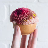 Mini Puff | Pinks and Chartreuse