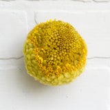 Mini Puff Fiber Sculpture | All Yellows