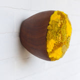 Puff Collection | Fluffy Yellows in Vintage Teak Bowl