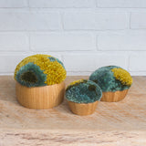 Puff Trio | Bamboo Bowls in 3 Sizes with Mustard + Green Puffs