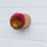 Mini Puff | Red, Orange, Yellow, Pink | Fiber Sculpture in Wood Frame