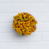 Puff | Yellow Felted Wools | Fiber Sculpture in Vintage Teak Bowl 1/2